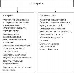 Таблица №2: Роль грибов