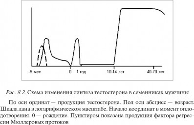 Таблица №1: Схема изменения синтеза тестостерона в семенниках мужчины