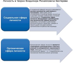 Таблица №9: Личность в теории Владимира Михайловича Бехтерева