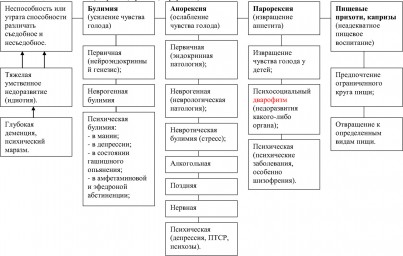 Таблица №1: Патологии пищевого влечения (анорексия, булимия, парорексия)