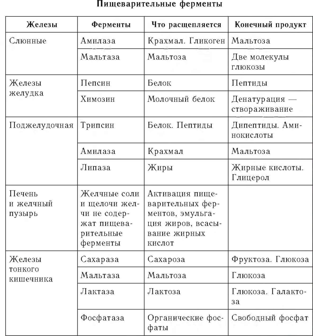 Отделы пищеварительного тракта таблица