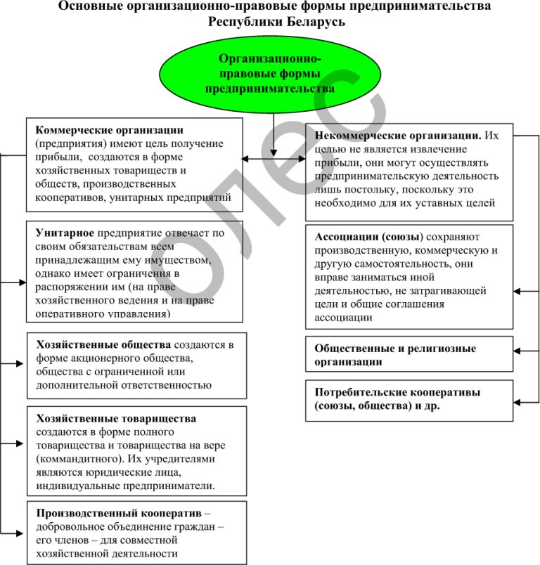 Основные организационно-правовые формы предпринимательства Республики Беларусь