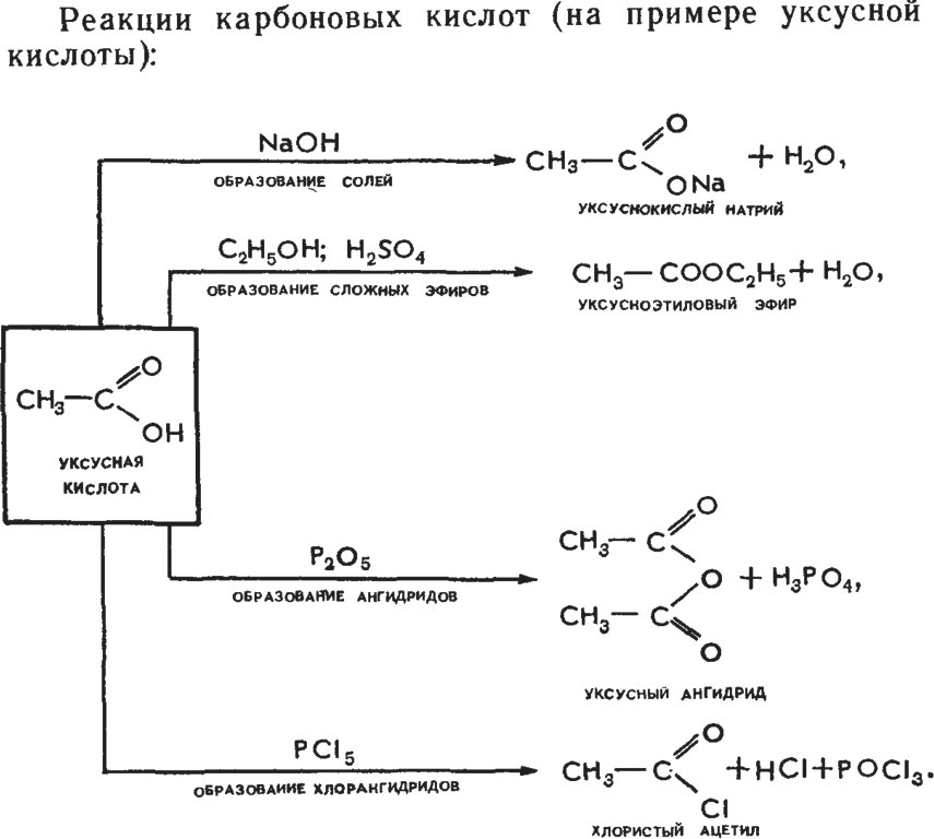 Реакции карбоновых кислот (на примере уксусной кислоты)