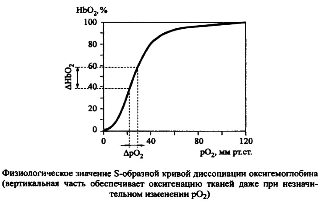 Физиологическое значение S-образной кривой диссоциации оксигемоглобина