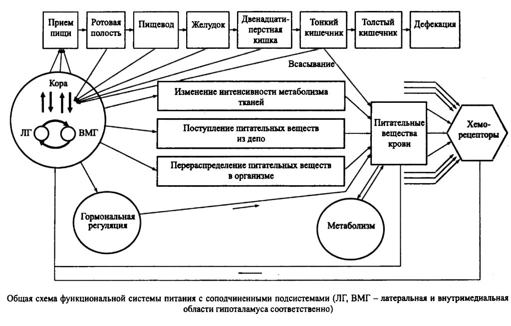 Общая схема функциональной системы питания с соподчиненными подсистемами
