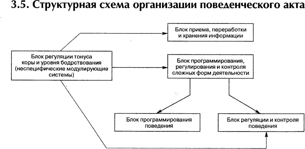 Структурная схема организации поведенческого акта