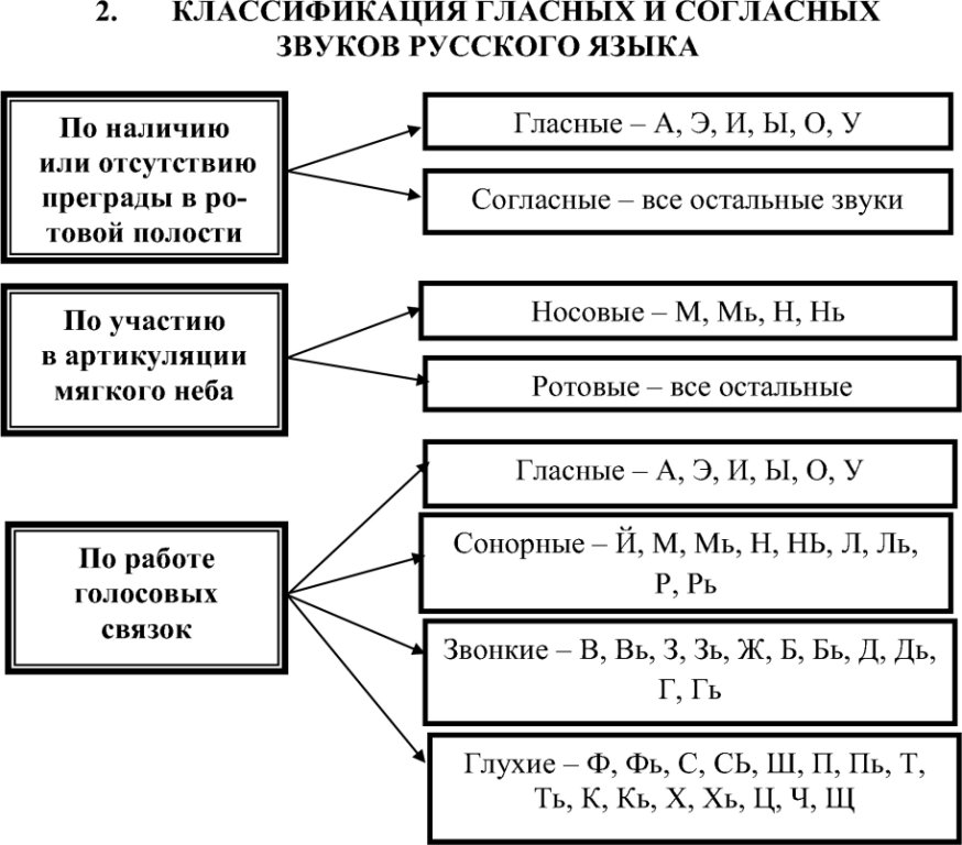 классификация гласных и согласных звуков русского языка