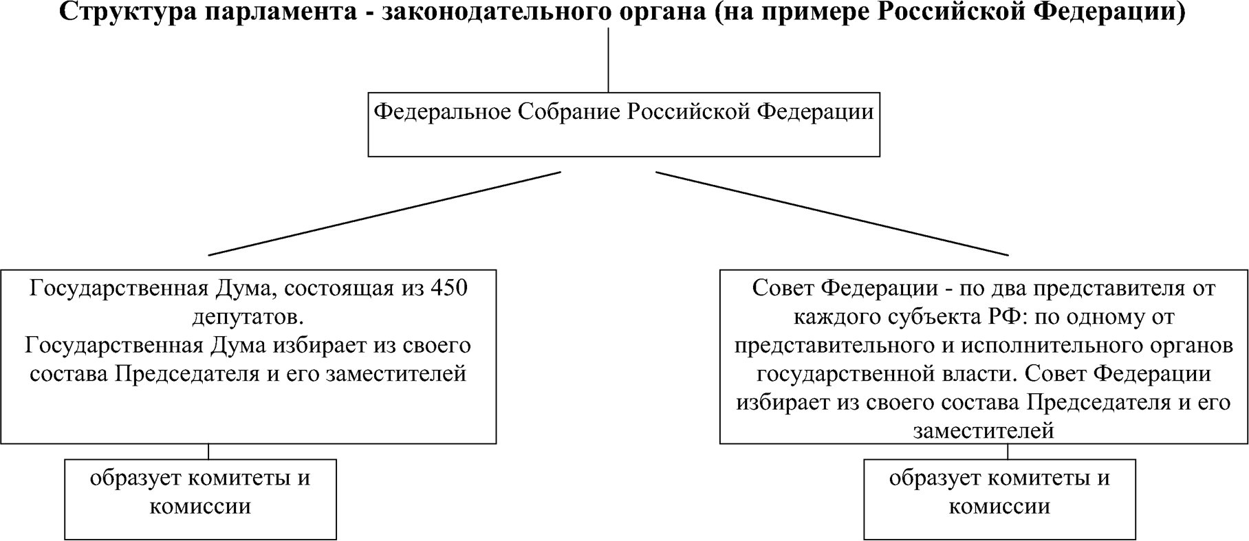 Структура парламента - законодательного органа (на примере Российской Федерации)