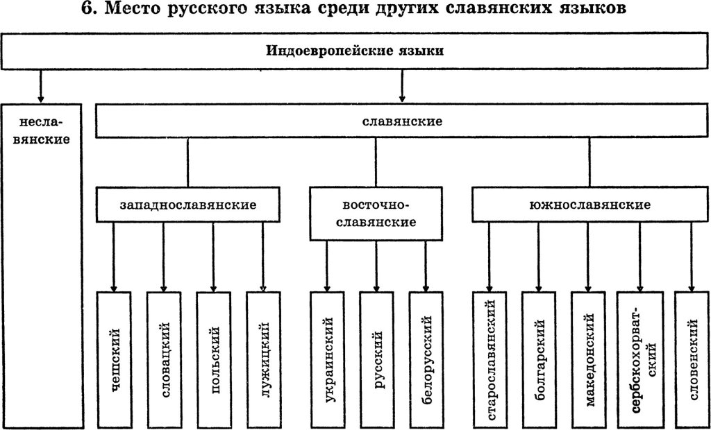 Место русского языка среди других славянских языков