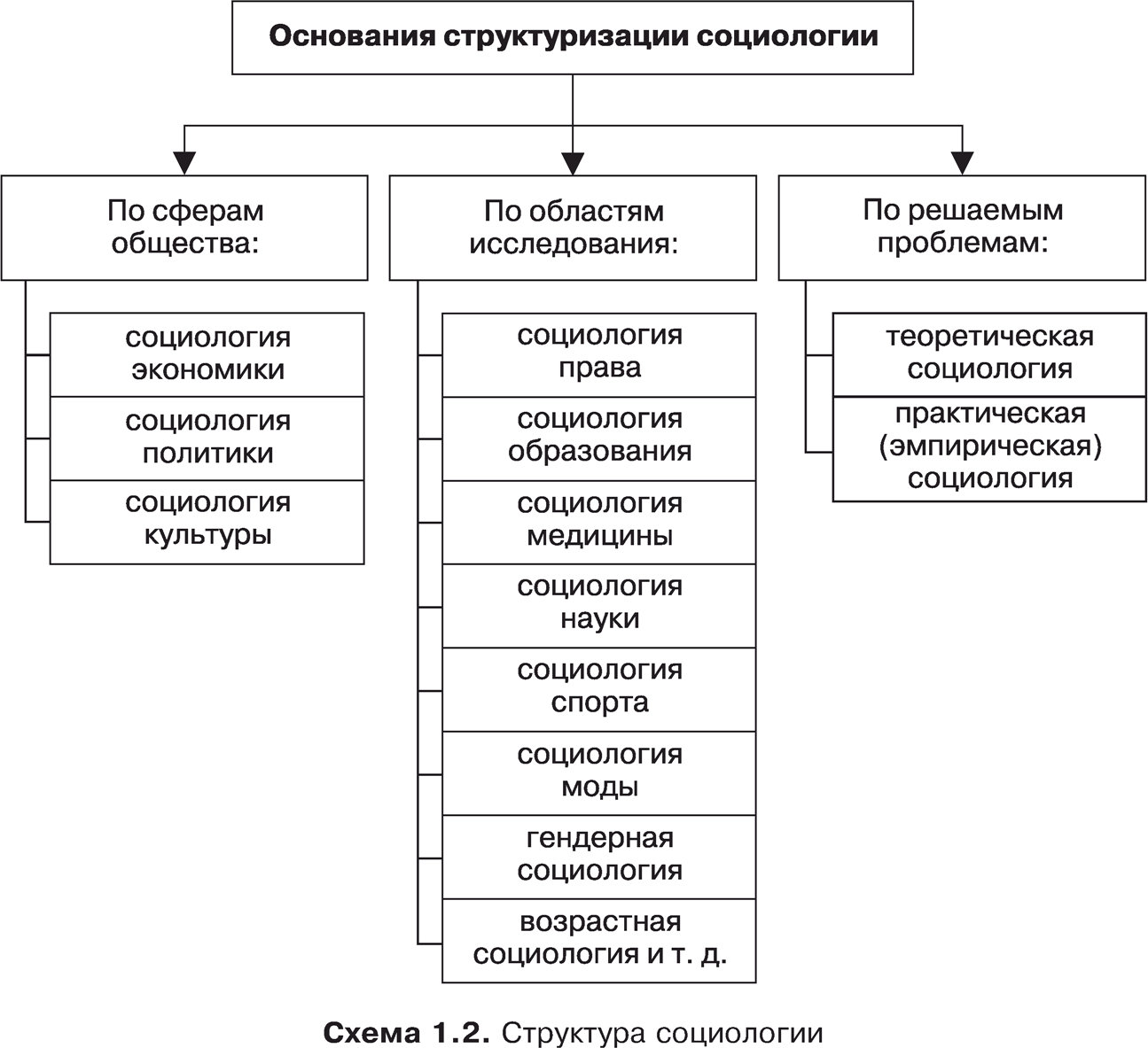 Структура социологии