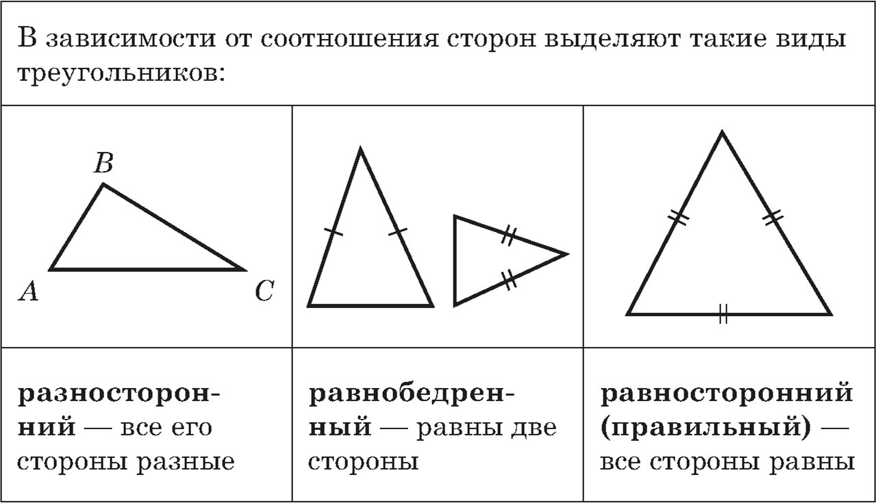 Виды треугольников в зависимости от соотношения сторон