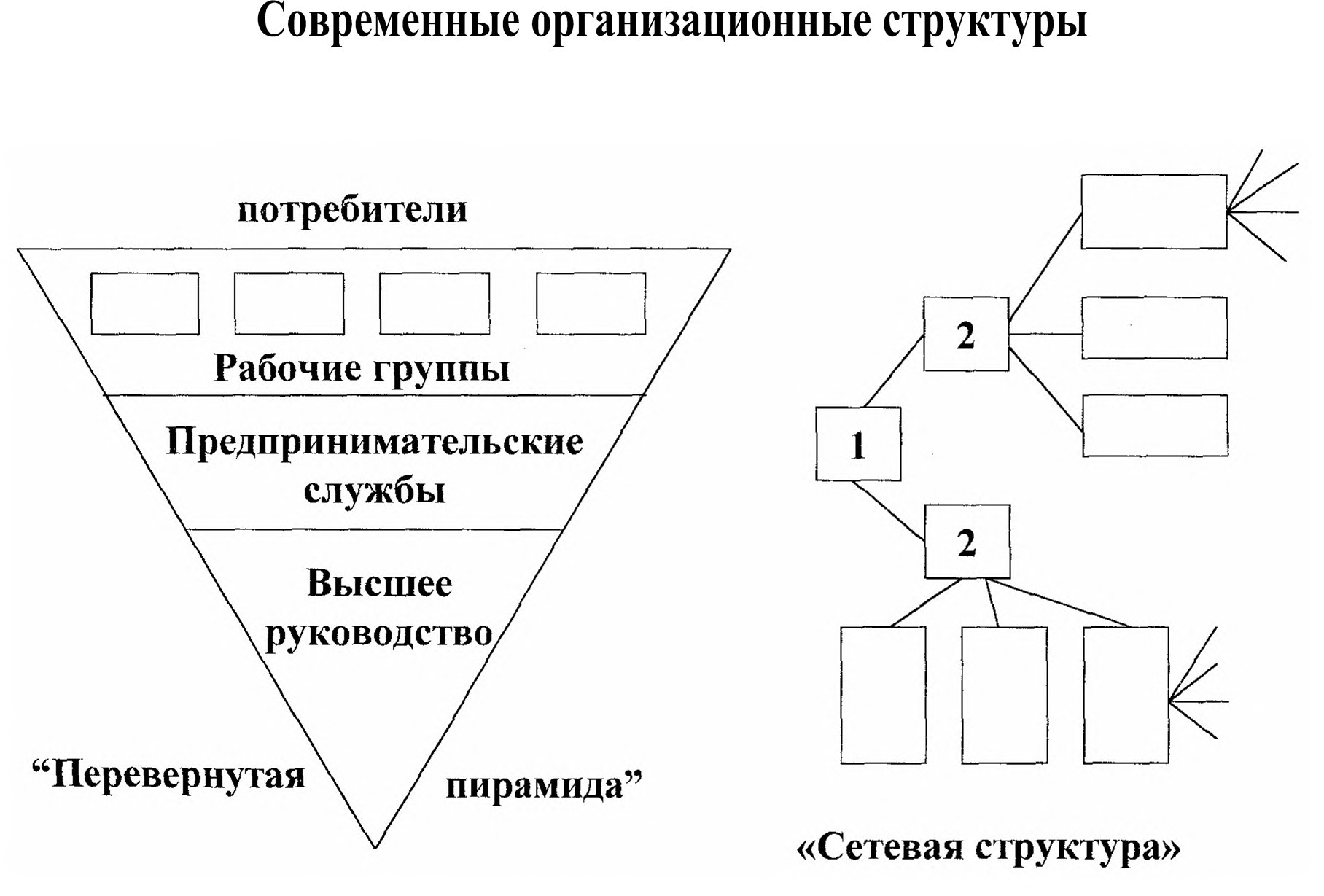 Современные организационные структуры