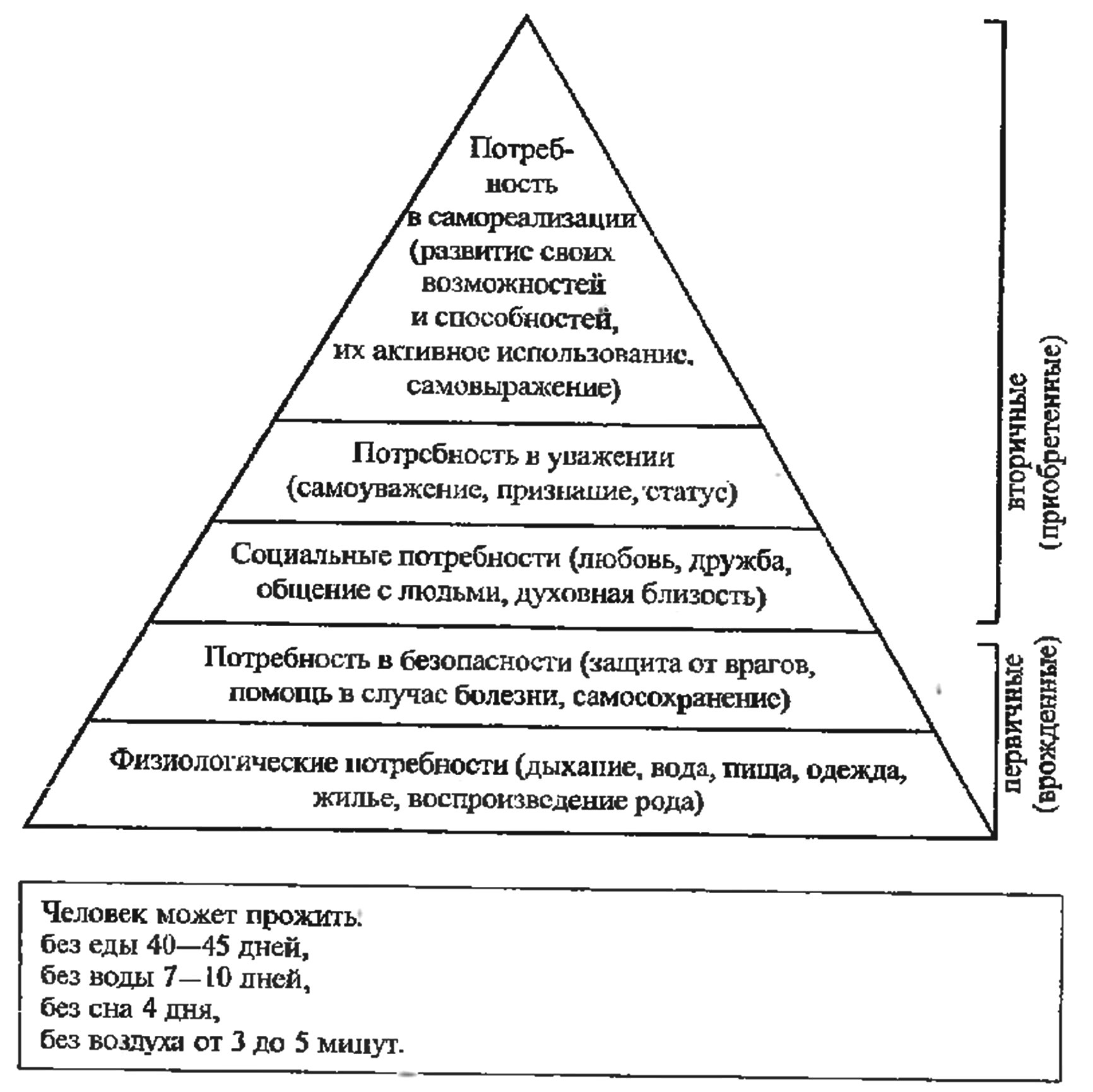 Пирамида потребностей, по А. Маслоу