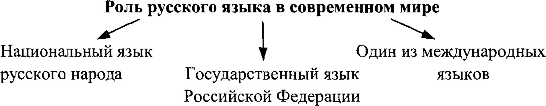 Роль русского языка в современном языке