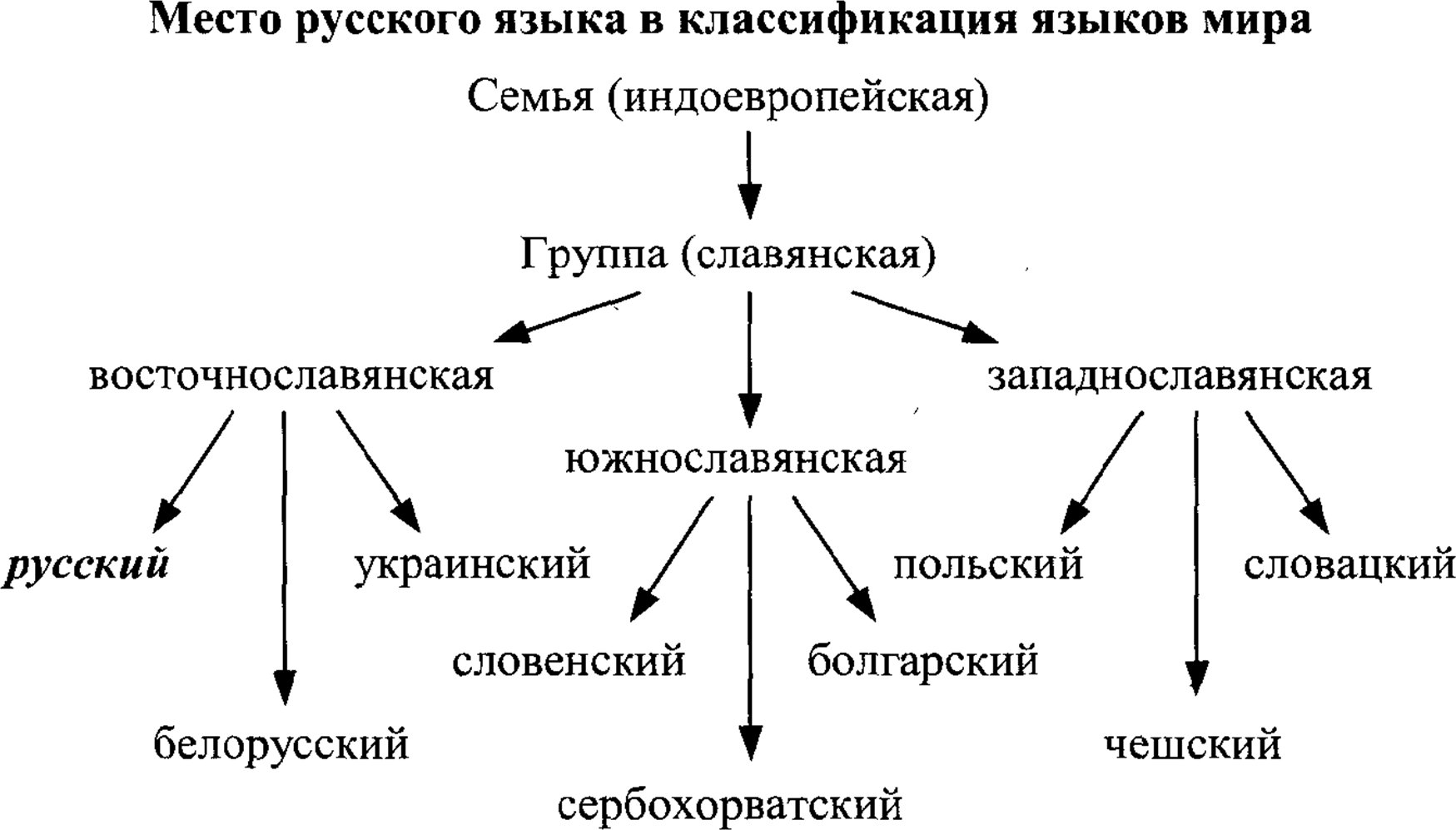 Место русского языка в классификации языков мира