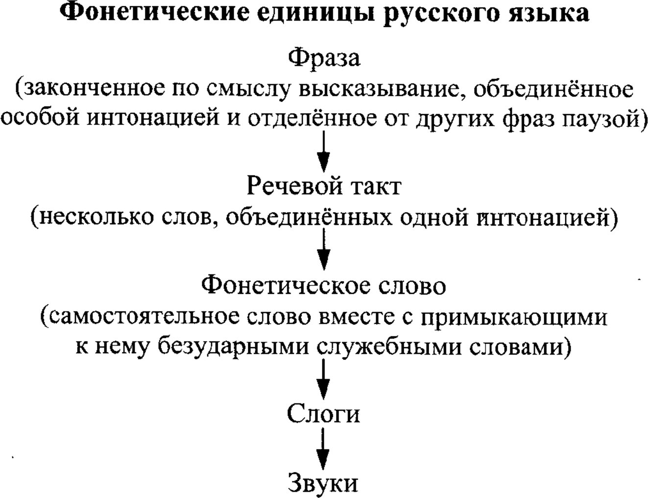 Фонетические единицы русского языка