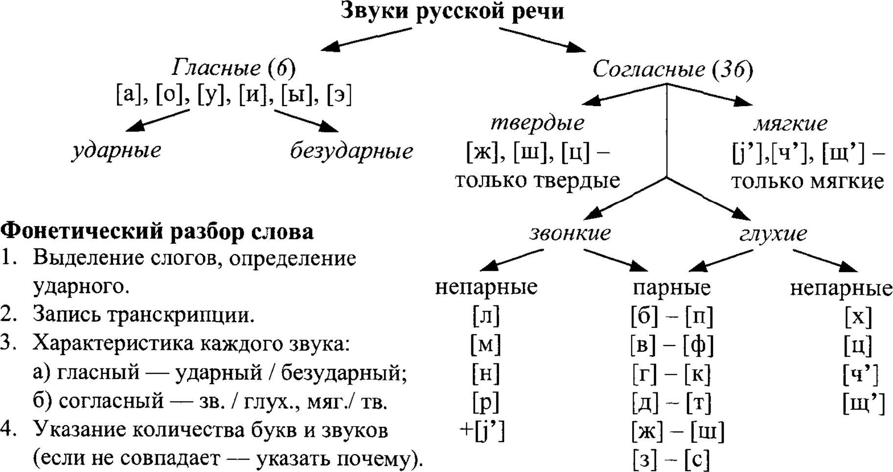 Звуки русской речи и фонетический разбор слова